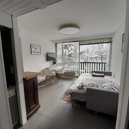 Studio Quartier Calme Centre Ville Vue Mont Blanc Chamonix ภายนอก รูปภาพ