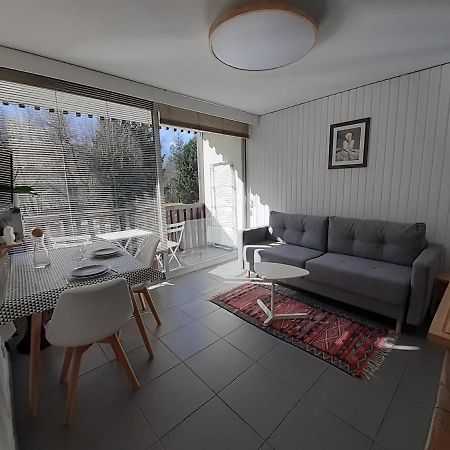 Studio Quartier Calme Centre Ville Vue Mont Blanc Chamonix ภายนอก รูปภาพ