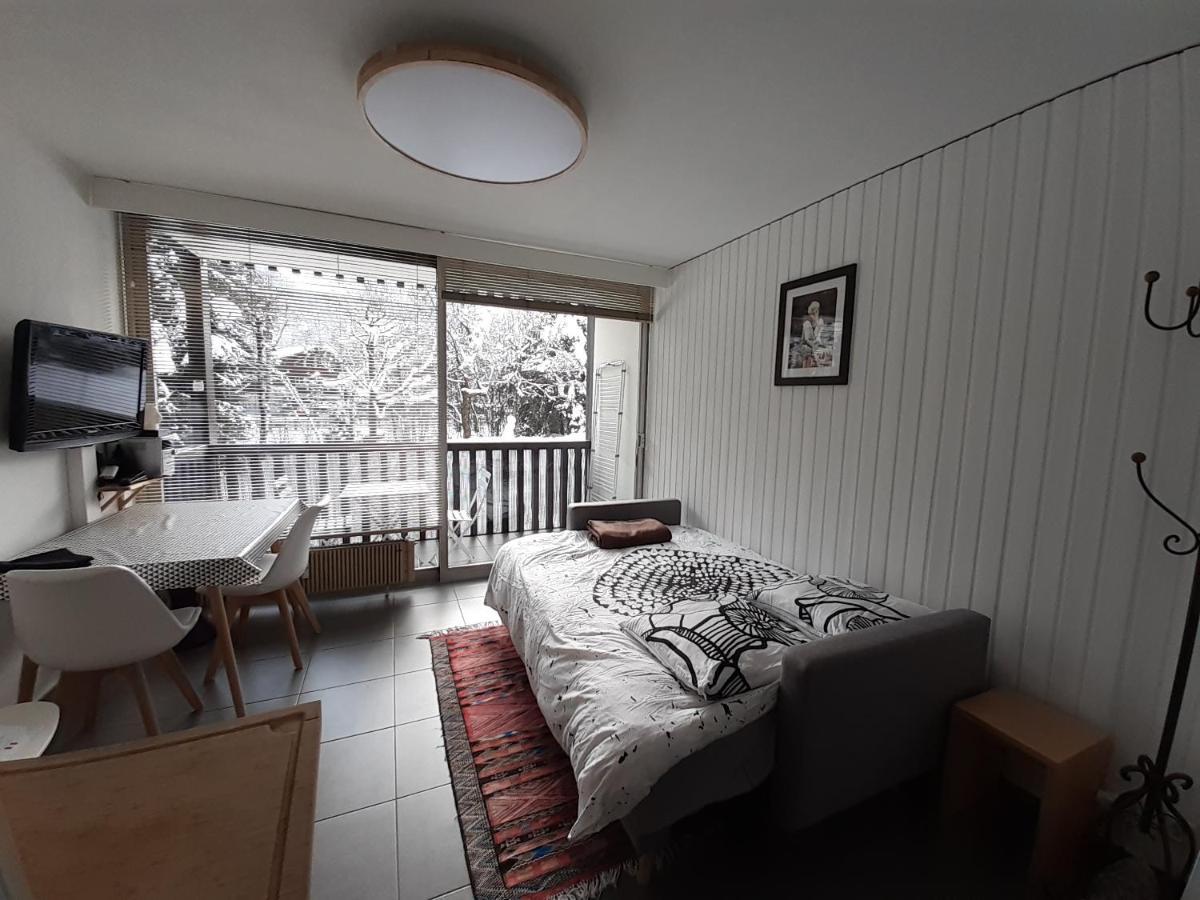 Studio Quartier Calme Centre Ville Vue Mont Blanc Chamonix ภายนอก รูปภาพ