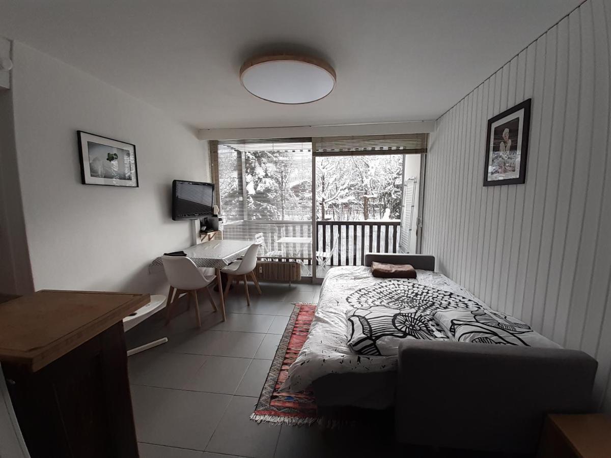 Studio Quartier Calme Centre Ville Vue Mont Blanc Chamonix ภายนอก รูปภาพ